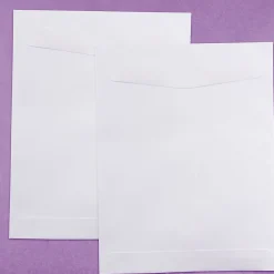 Discount JAM Paper Open End Catalog Envelope, 8 3/4