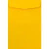 New JAM Paper Open End Catalog Envelope, 6" x 9", Yellow, 100/Pack (212815443F)