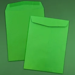 Outlet JAM Paper Open End Catalog Envelope, 9