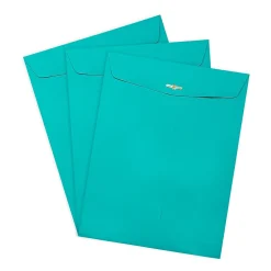 New JAM Paper Open End Clasp Catalog Envelope, 9