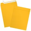 Outlet JAM Paper Open-End Envelopes, 9 x 12, Sunflower Yellow, 50 Pack (EX4894-12-50)