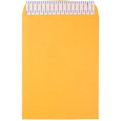 Hot JAM Paper Peel & Seal Kraft Open End Catalog Envelope, 9" x 12", Brown, 500/Pack (13034231C)
