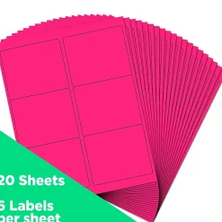 Clearance JAM Paper Shipping Labels, 3 1/3" x 4", , 6 Labels/Sheet, 20 Sheets/Pack (354328046) Neon Pink