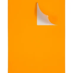 New JAM Paper Shipping Labels, Large, 3 1/3 x 4, , 6 Labels/Sheet, 20 Sheets/Pack (354328043) Neon Orange
