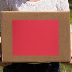 JAM Paper Shipping Labels, 8 1/2