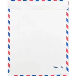 Sale JAM Paper Tear-Proof Tyvek Open End Catalog Envelopes, 9" x 12", White Airmail, 25/Pack (2131102)