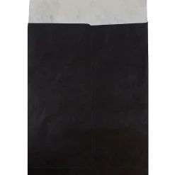 Hot JAM Paper Tyvek Open End Open End Catalog Envelope, 11 1/2" x 14 1/2", Black, 10/Pack (V021386B)