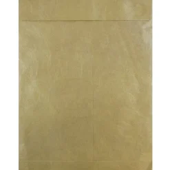 Outlet JAM Paper Tyvek Open End Clasp #13 Catalog Envelope, 10" x 13", Gold, 10/Pack (V021378B)
