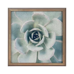 Bulletin*Kate & Laurel F2 Images Succulent 7 Cork Bulletin Board, Gold Frame, 1' x 1' (222048)