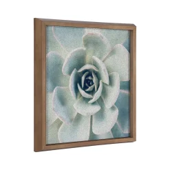Bulletin*Kate & Laurel F2 Images Succulent 7 Cork Bulletin Board, Gold Frame, 1' x 1' (222048)