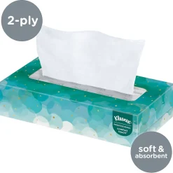 Standard Facial Tissues, 2-Ply, 100 Sheets/Box, 10 Boxes/Pack (13216)<Kleenex Hot