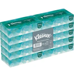 Standard Facial Tissues, 2-Ply, 100 Sheets/Box, 10 Boxes/Pack (13216)<Kleenex Hot