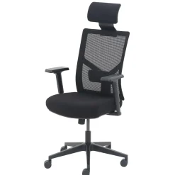 Ergonomic Chairs*La-Z-Boy Ergonomic Mesh Swivel Task Chair, (60021) Black