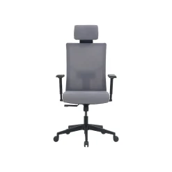 Office Chairs*La-Z-Boy Mesh Back Molded Foam Computer and Desk Chair, Gray (51448) Gray/White
