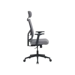 Office Chairs*La-Z-Boy Mesh Back Molded Foam Computer and Desk Chair, Gray (51448) Gray/White