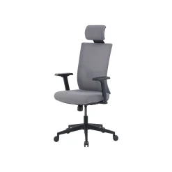Office Chairs*La-Z-Boy Mesh Back Molded Foam Computer and Desk Chair, Gray (51448) Gray/White