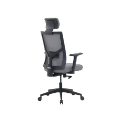 Office Chairs*La-Z-Boy Mesh Back Molded Foam Computer and Desk Chair, Gray (51448) Gray/White