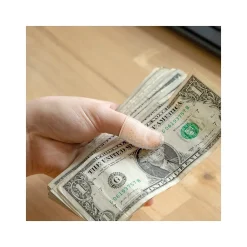 Outlet Lee Extra-Large Fingertip, Clear, 12/Pack (41090)