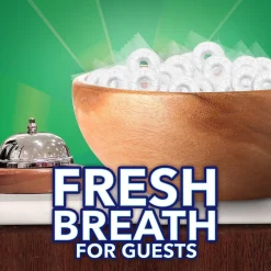 LifeSavers LIFE SAVERS Wint-O-Green Individually Wrapped Breath Mints, 2.5 lb. Stand-up Bag (LEFEWINT6)