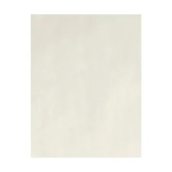 Card Stock*LUX 80 lb. Cardstock Paper, 8.5" x 11", Natural, 50 Sheets/Pack (81211-C-58-50)