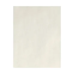 Card Stock*LUX 80 lb. Cardstock Paper, 8.5" x 11", Natural, 50 Sheets (81211-C-99-50)