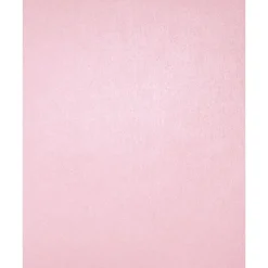 Card Stock*LUX 105 lb. Cardstock Paper, 13" x 19", Rose Quartz, 1000 Sheets/Pack (1319-C-M75-1000)