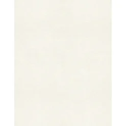 Card Stock*LUX 105 lb. Cardstock Paper, 8.5" x 11", Quartz Metallic, 1000 Sheets/Pack (81211-C-72-1000)