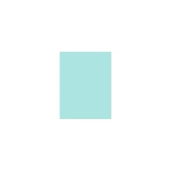 Card Stock*LUX 100 lb. Cardstock Paper, 11" x 17", Seafoam, 500 Sheets/Pack (1117-C-113-500)