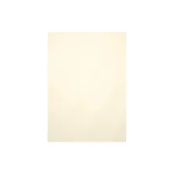 Card Stock*LUX 105 lb. Cardstock Paper, 8.5" x 11", Champagne Metallic, 250 Sheets/Pack (81211-C-M08-250)