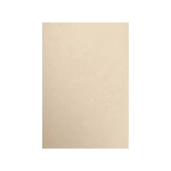 Card Stock*LUX 105 lb. Cardstock Paper, 13" x 19", Taupe Metallic, 500 Sheets/Pack (1319-C-M09-500)