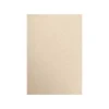 Card Stock*LUX 80 lb. Paper, 13" x 19", Taupe Metallic, 250 Sheets/Pack (1319-P-M09-250)