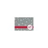 Best LUX #17 Mini Gift Card Envelopes, 2 11/16" x 3 11/16", Silver Snowflake, 1000 Qty (LEVC-H02-1M)