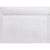 Clearance LUX 6 x 9 Booklet Envelopes 50/Pack, Clear Translucent (E4820-00-50)