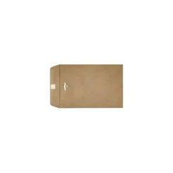 Sale LUX 6 x 9 Grocery Bag Clasp Envelopes, 50/Pack (69GB-50)