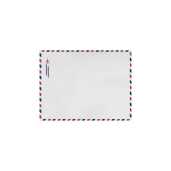 Hot LUX 6 x 9 Kraft Open End Envelopes (6 x 9) - Airmail - Pack of 50 (2444794)