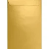 Best LUX 6 x 9 Open End Envelopes, Gold Metallic, 500/Box (1644-07-500)