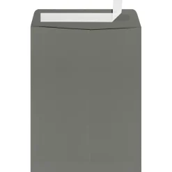 Online LUX 9" x 12" Open End Window Envelopes, Smoke Gray, 250/Box (-1590-22-250)