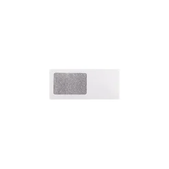 New LUX Security Tinted #10 Window Envelope, 4 1/2" x 9 1/2", White, 1000/Pack (WS-3133-1M)