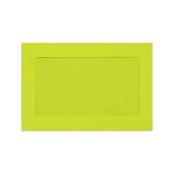Best LUX Window Envelopes, Wasabi 6 x 9 inch 50/Pack