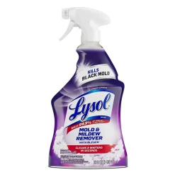 Mold & Mildew Remover, 1 Quart, Trigger Spray Bottle (1920078915)<Lysol Outlet