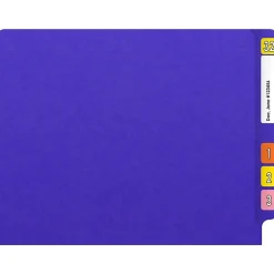 File Folders|Medical Arts Press Heavy Duty End Tab File Folder, Straight-Cut, Letter Size, Purple, 40/Box (S-09461-PUR)