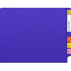 File Folders|Medical Arts Press Heavy-Duty End Tab File Folder, Straight Cut, Letter-Size, Purple, 40/Box (S-09458-PRP)