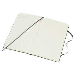 Notebooks|Moleskine Classic Professional Notebooks, 5