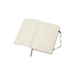 Notebooks|Moleskine Large Subject Notebooks, 5