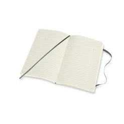 Notebooks|Moleskine Pro Large Professional Notebooks, 5