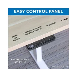 Standing Desks*Mount-It! Ultimate 55