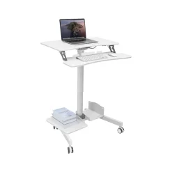 Standing Desks*Mount-It! 28