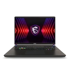 MSI Vector 17 HX 17" QHD+ 240Hz Gaming Laptop, Intel Core i9-14900HX, RTX 4080, 32GB RAM, 1TB SSD, Win 11 Pro (A14VHG-649US)
