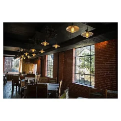 Newhouse Lighting ST64 Vintage Incandescent Bulb, 60W, 6-Pack (ST64INC-6)