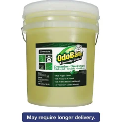 Professional Series Deodorizer Disinfectant, 5gal Pail, Eucalyptus Scent (ODO9110625G)<ODOBAN Best